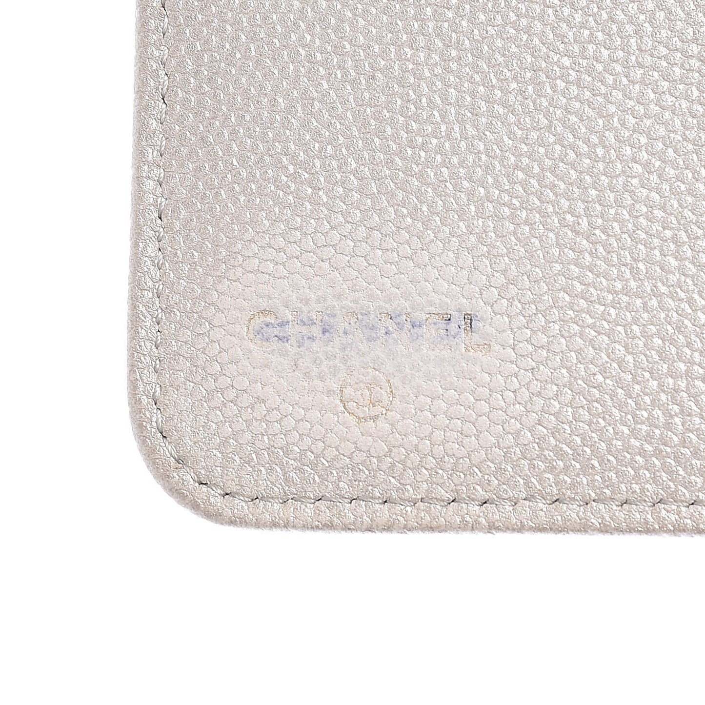 Metallic Caviar Sevruga iPad Case Silver