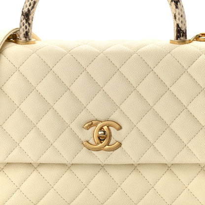 Chanel Caviar Elaphe Quilted Small Coco Handle Flap Ivory 8 of 11
