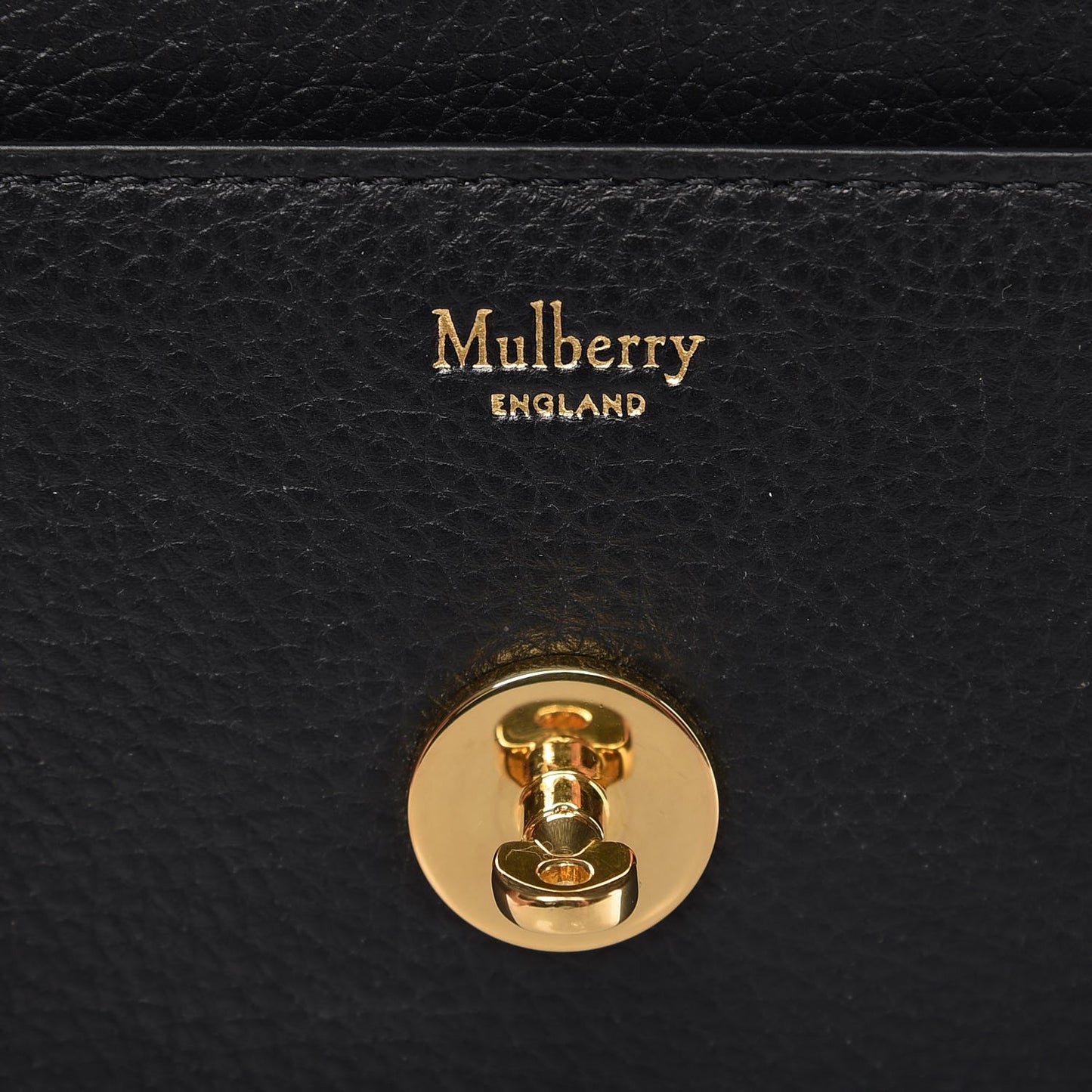Classic Grain Calfskin Small Darley Black
