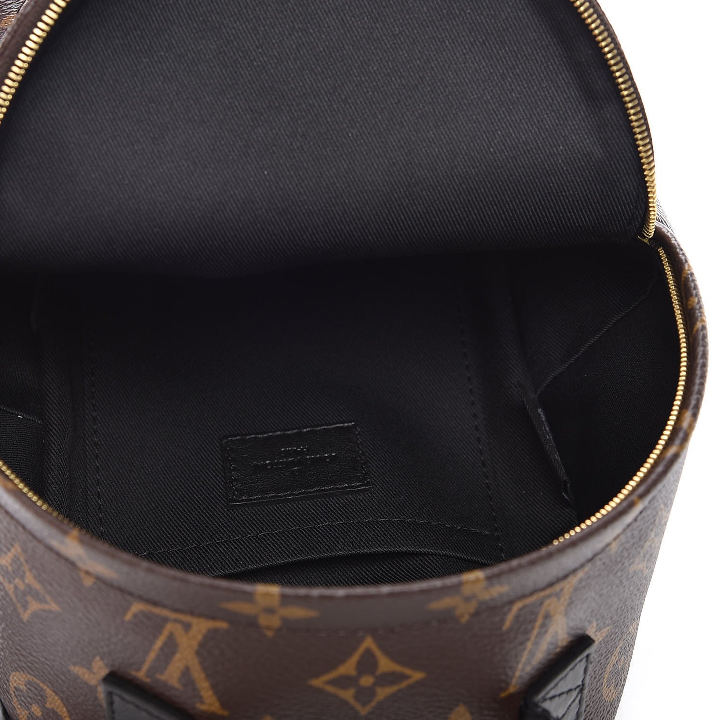 Monogram Palm Springs Backpack Mini