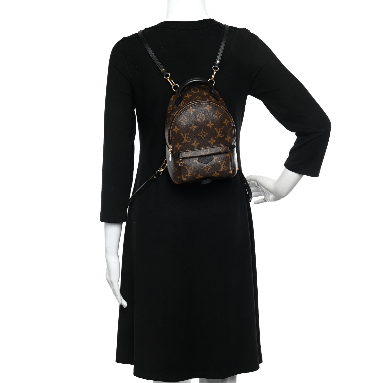 Louis Vuitton Monogram Palm Springs Backpack Mini 2 of 10