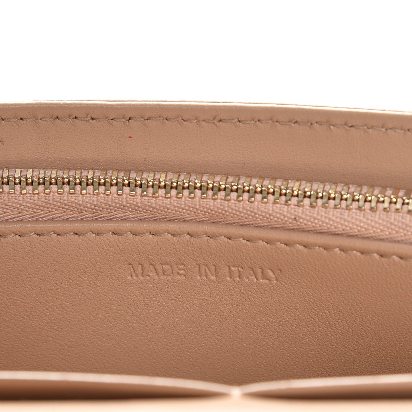 Grained Calfskin Diorama Wallet on Chain Pouch Nude