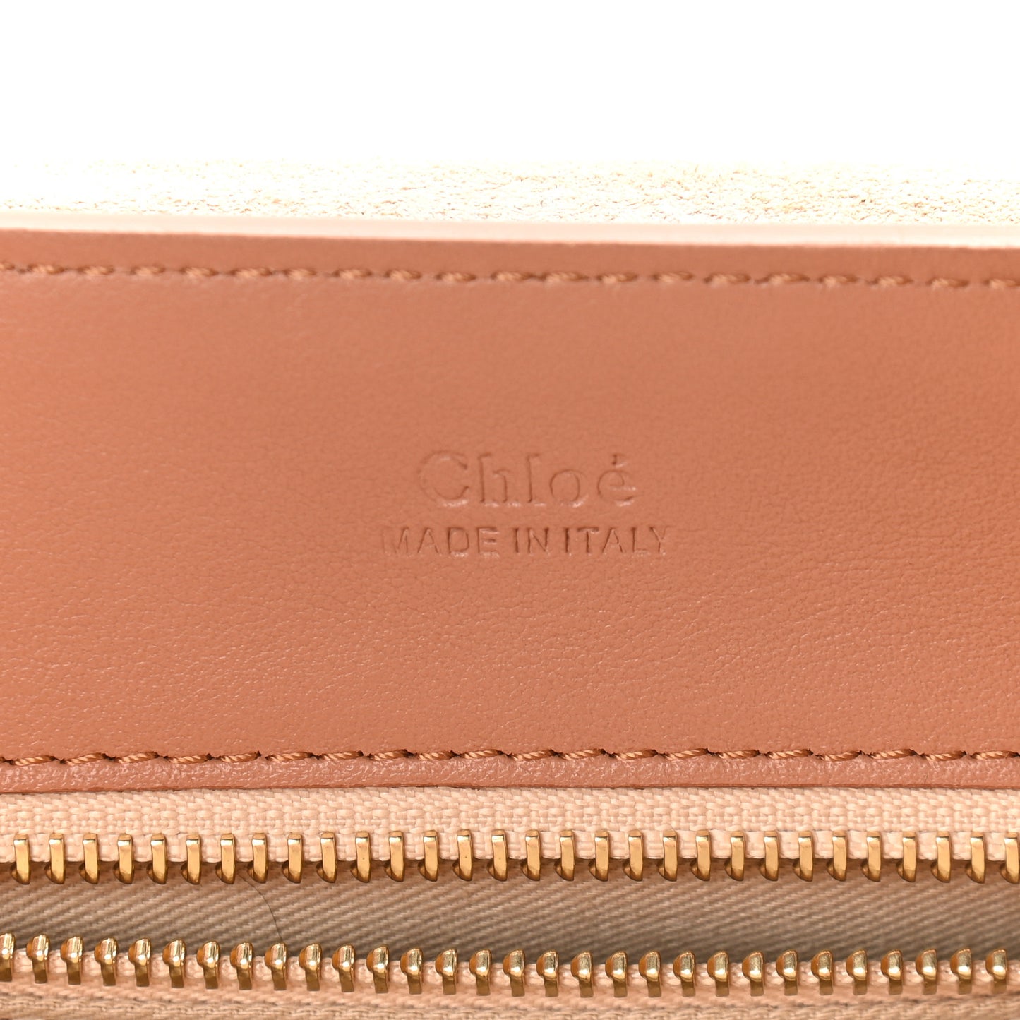 Calfskin Mini Tess Day Bag Marrone