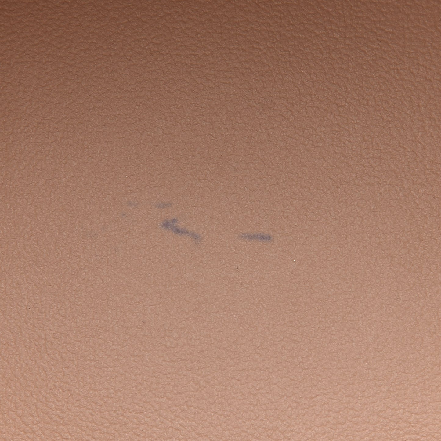 Monogram Petit Bucket 23
