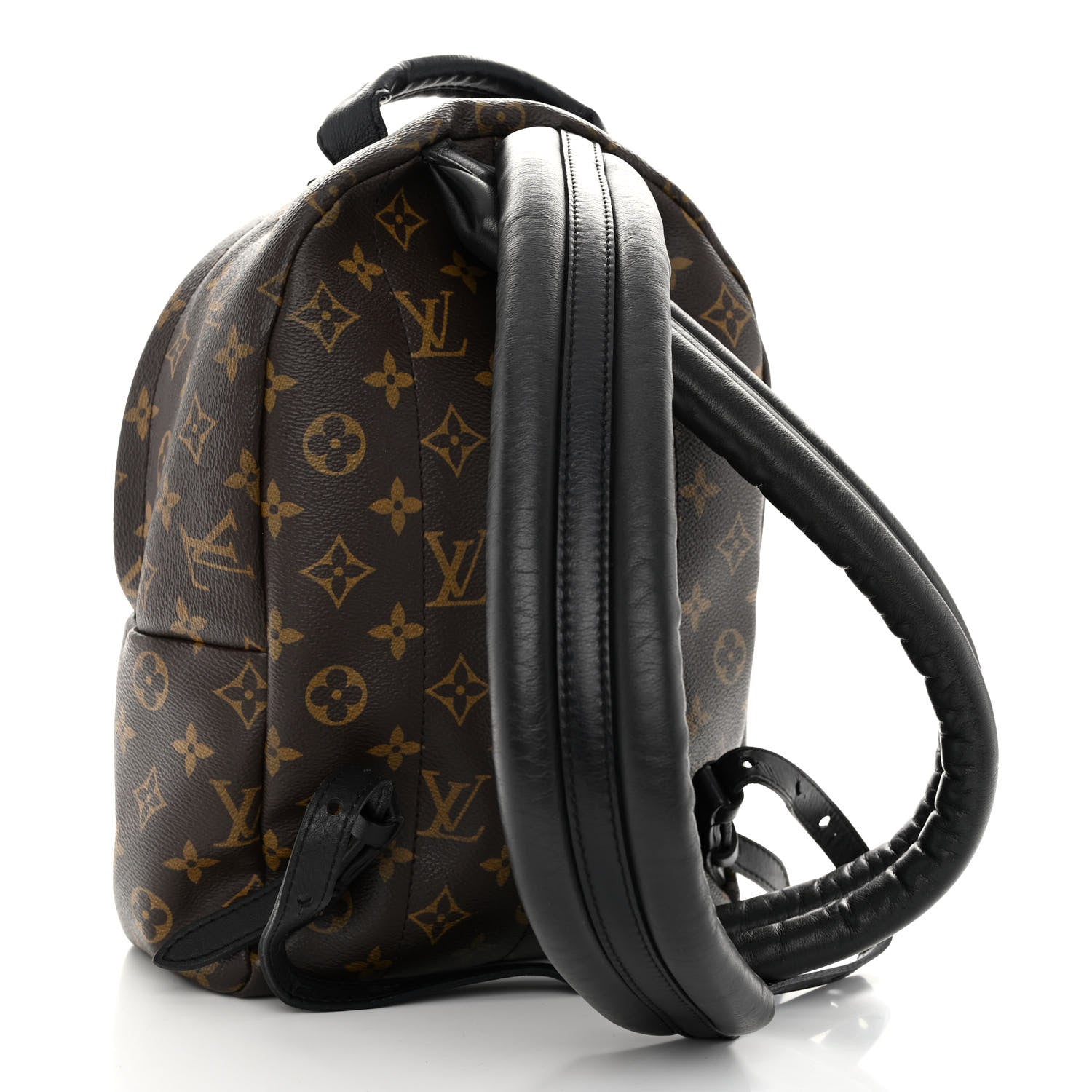 Louis Vuitton Monogram Palm Springs Backpack PM 3 of 9