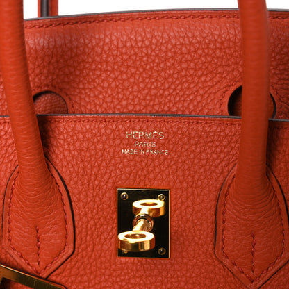 Hermes Togo Birkin 25 Terre Battue 6 of 10