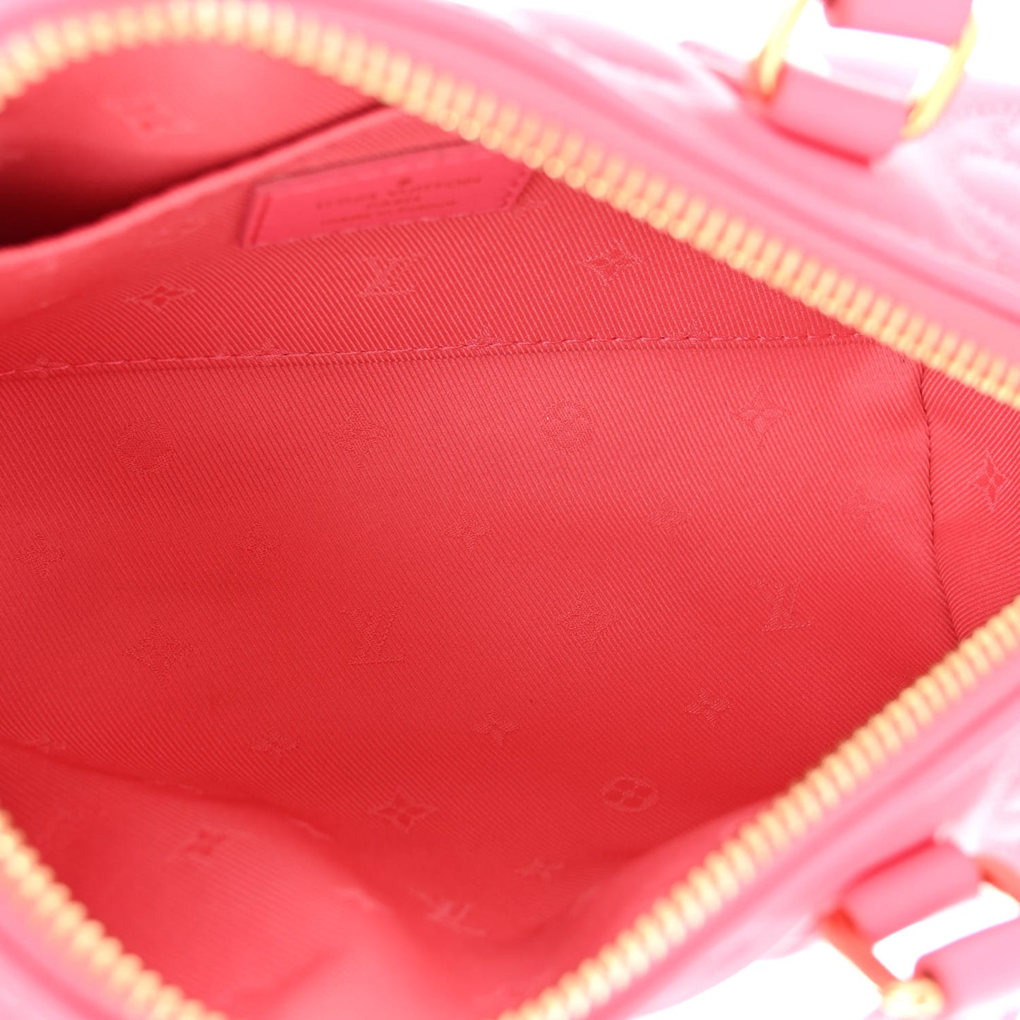 Calfskin Bubblegram Papillon BB Dragon Fruit