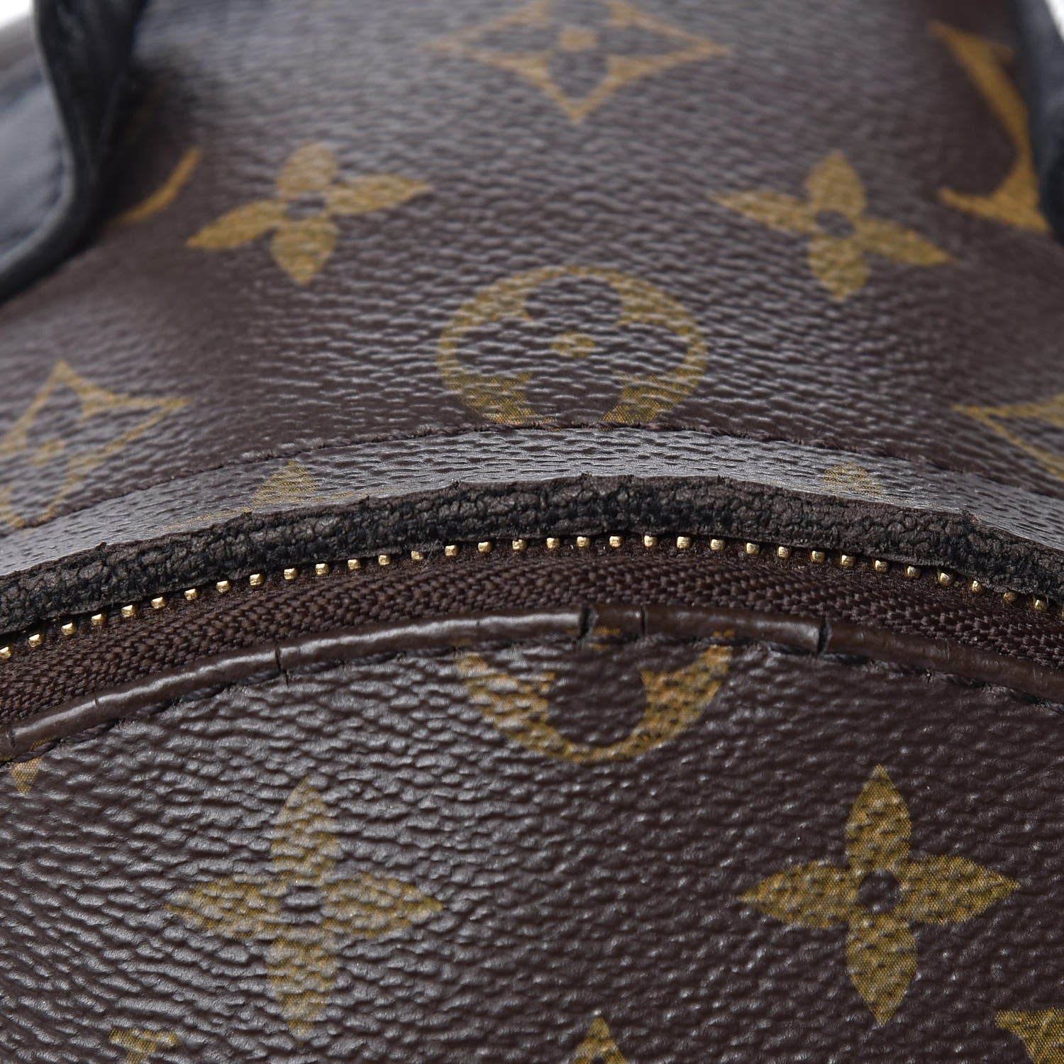 Louis Vuitton Monogram Palm Springs Backpack PM 12 of 14