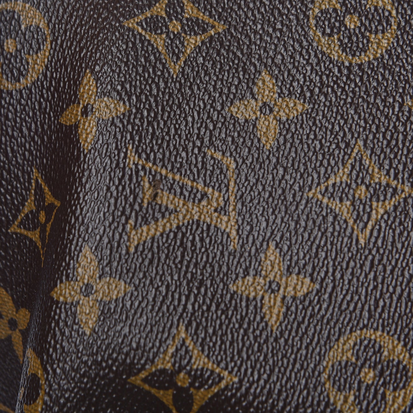 Monogram Delightful PM