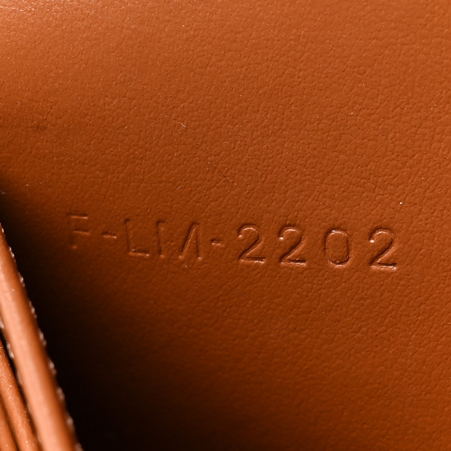 Triomphe Canvas Lambskin Wallet On Strap Tan