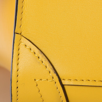 Celine Palmelato Calfskin Nano Luggage Sunflower 13 of 15