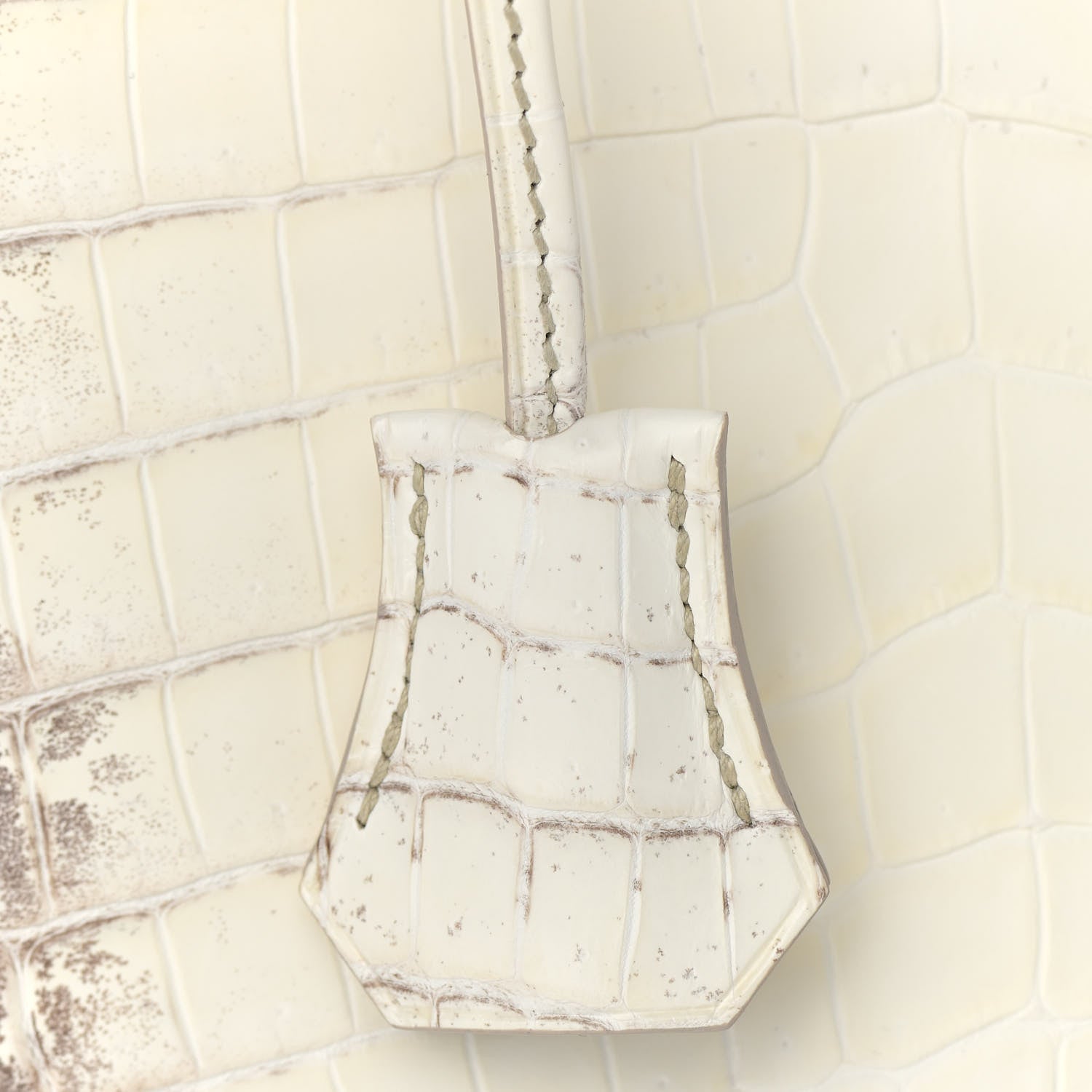 Hermes Matte Niloticus Crocodile Himalaya Birkin 25 Blanc 29 of 31