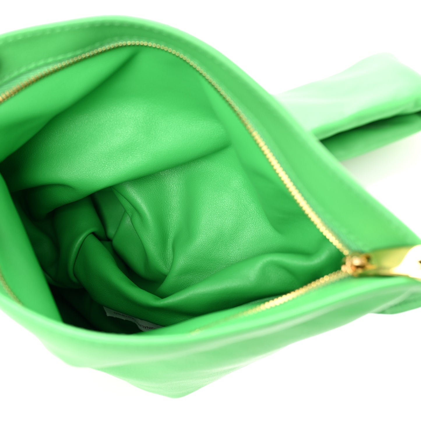 Calfskin Mini BV Twist Parakeet