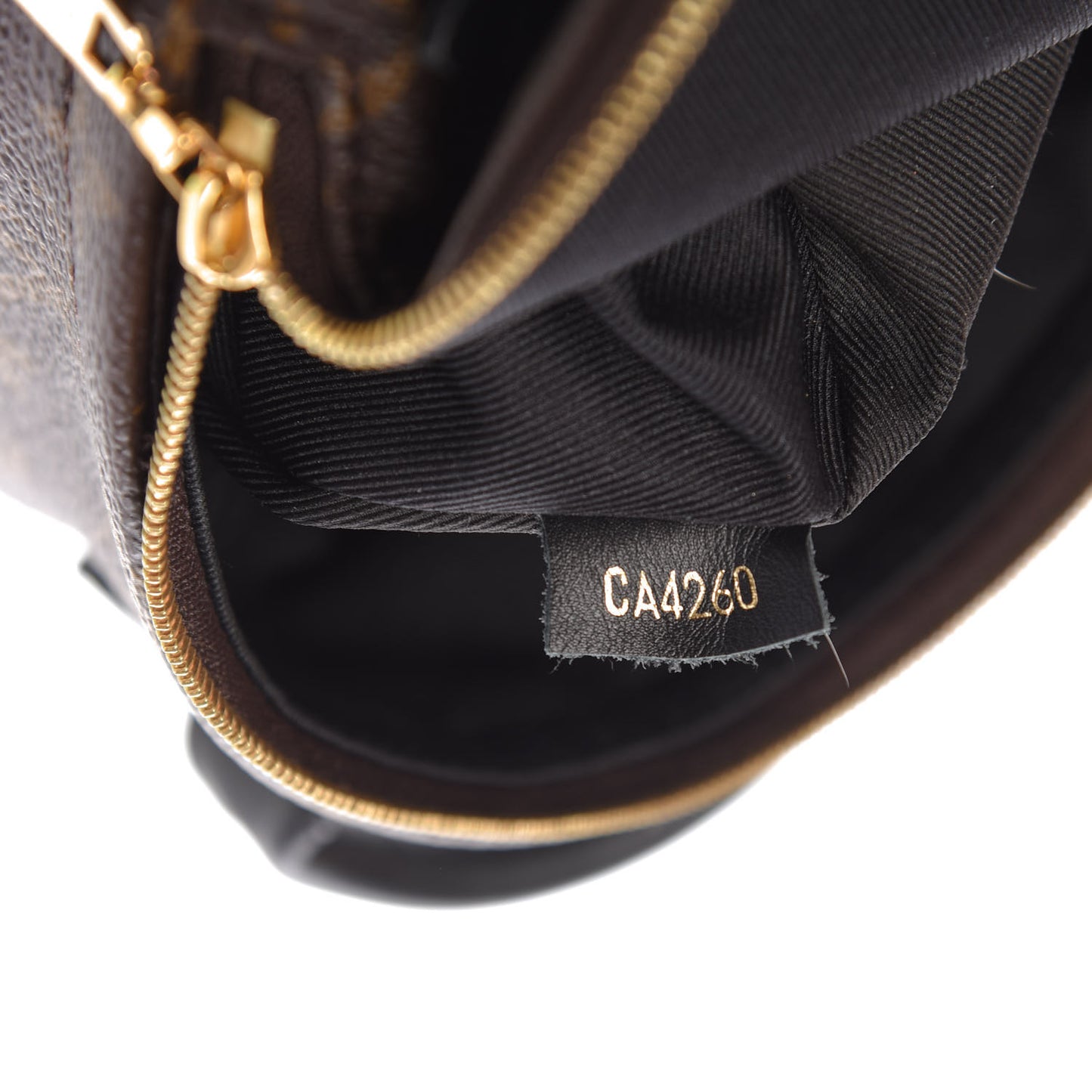 Monogram Palm Springs Backpack Mini