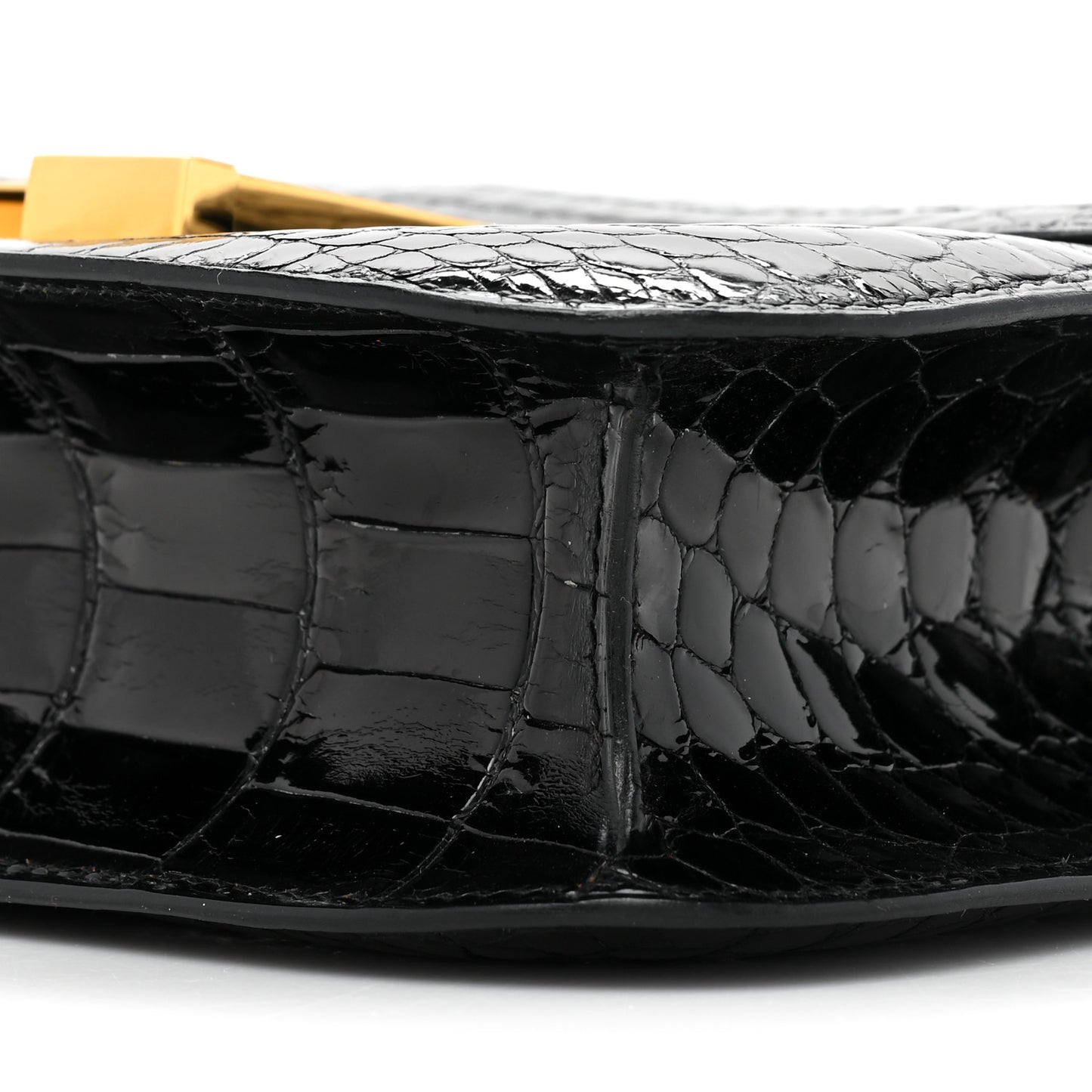 Shiny Niloticus Crocodile Constance 23 Black