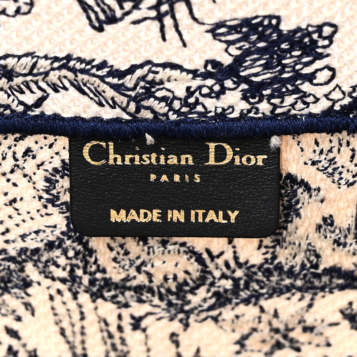 Canvas Embroidered Medium Dioriviera Toile De Jouy Book Tote Blue Blue