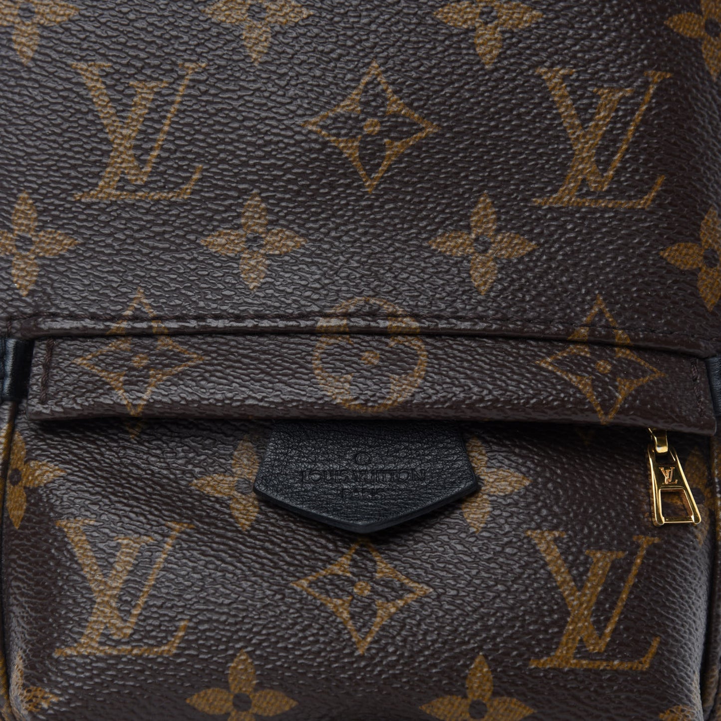 Monogram Palm Springs Backpack Mini