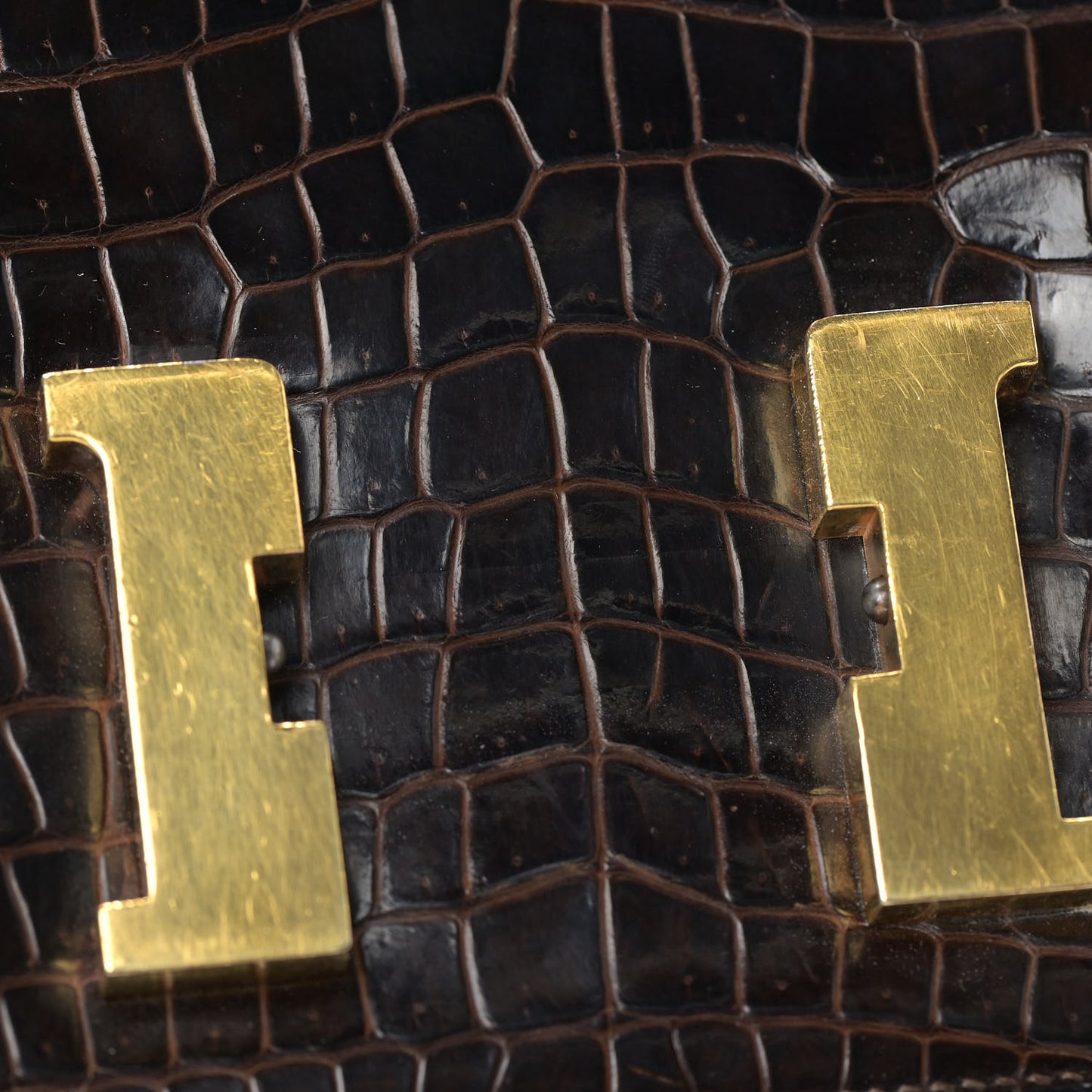 Shiny Porosus Crocodile Constance 23 Chocolate