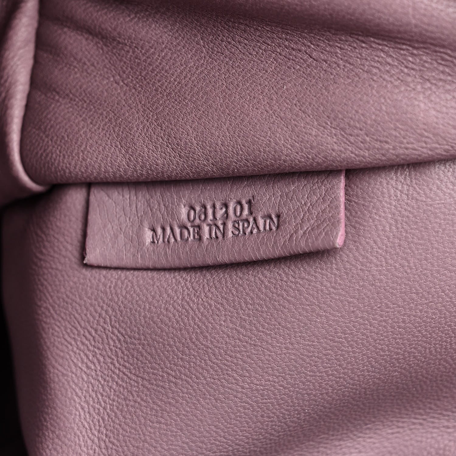 Loewe Goatskin Amazona Purple 7 of 13