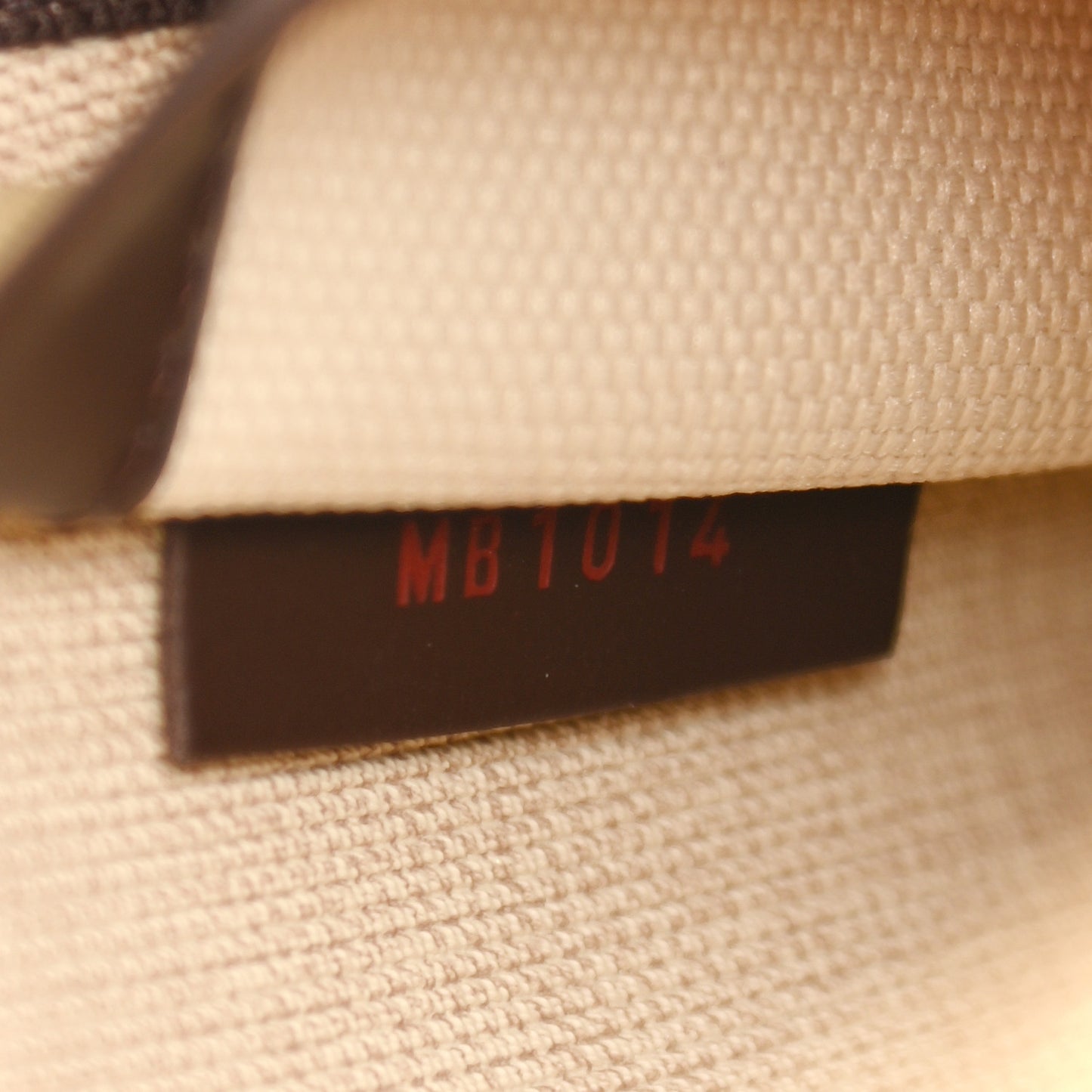 Damier Ebene Excursion Shoe Bag
