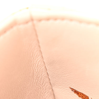 Christian Dior Lambskin Cannage Small Lucky Badges My Lady Dior Light Pink 9 of 15