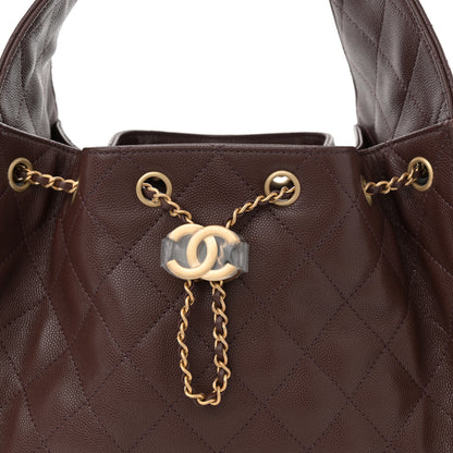 Chanel Caviar Quilted Small Chanel 25 Handbag Dark Brown 7 of 10