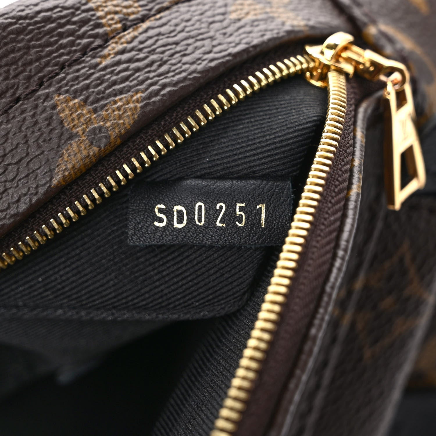 Louis Vuitton Monogram Palm Springs Backpack Mini 7 of 10