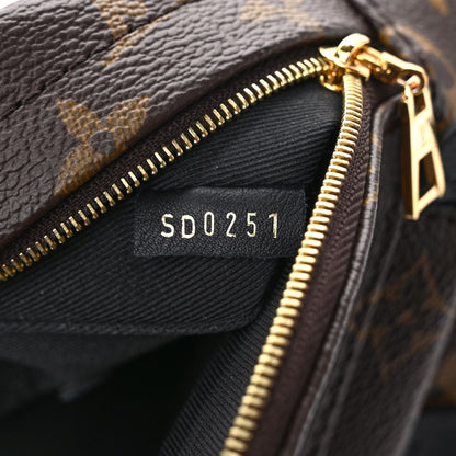 Louis Vuitton Monogram Palm Springs Backpack Mini 7 of 10