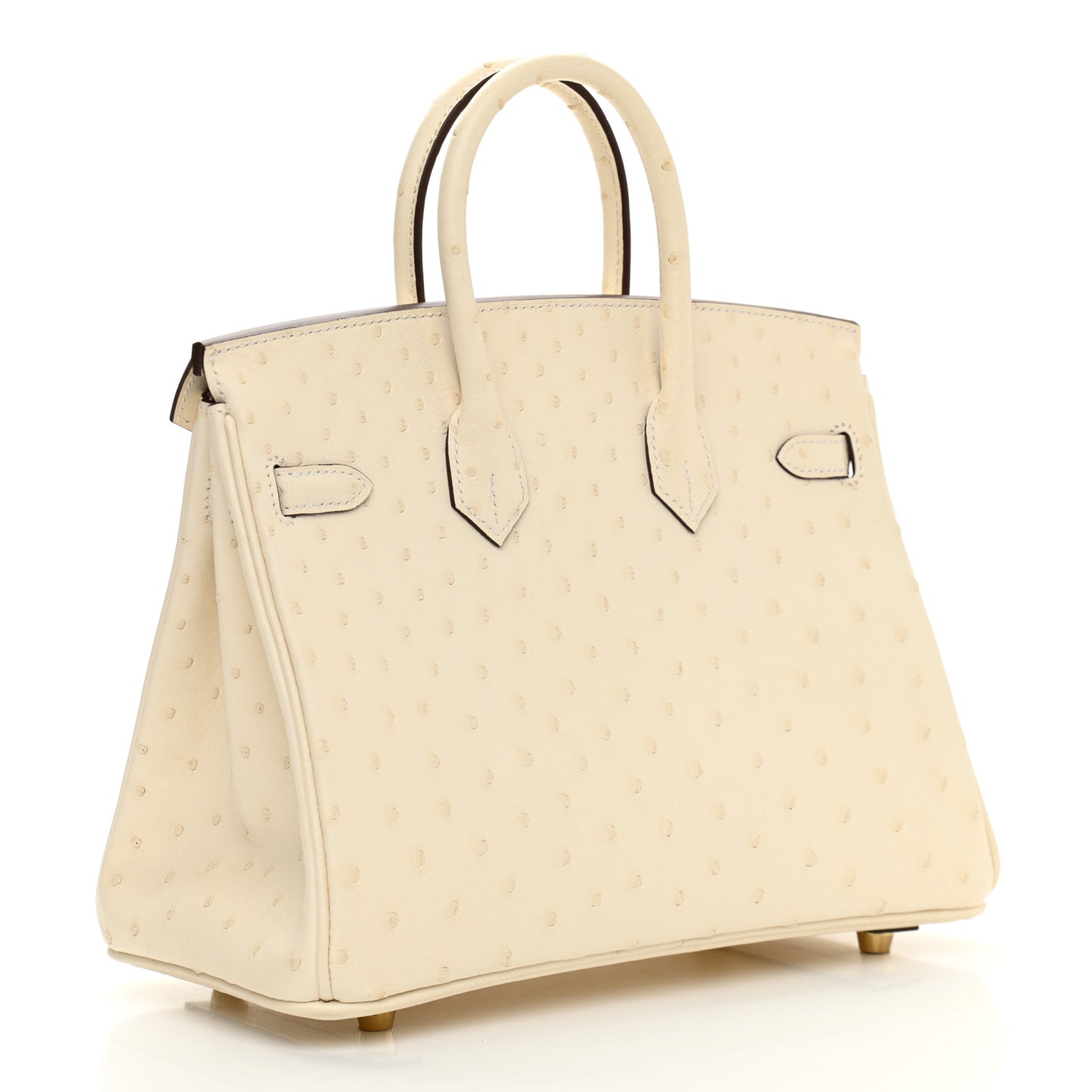 Ostrich Birkin 25 Nata