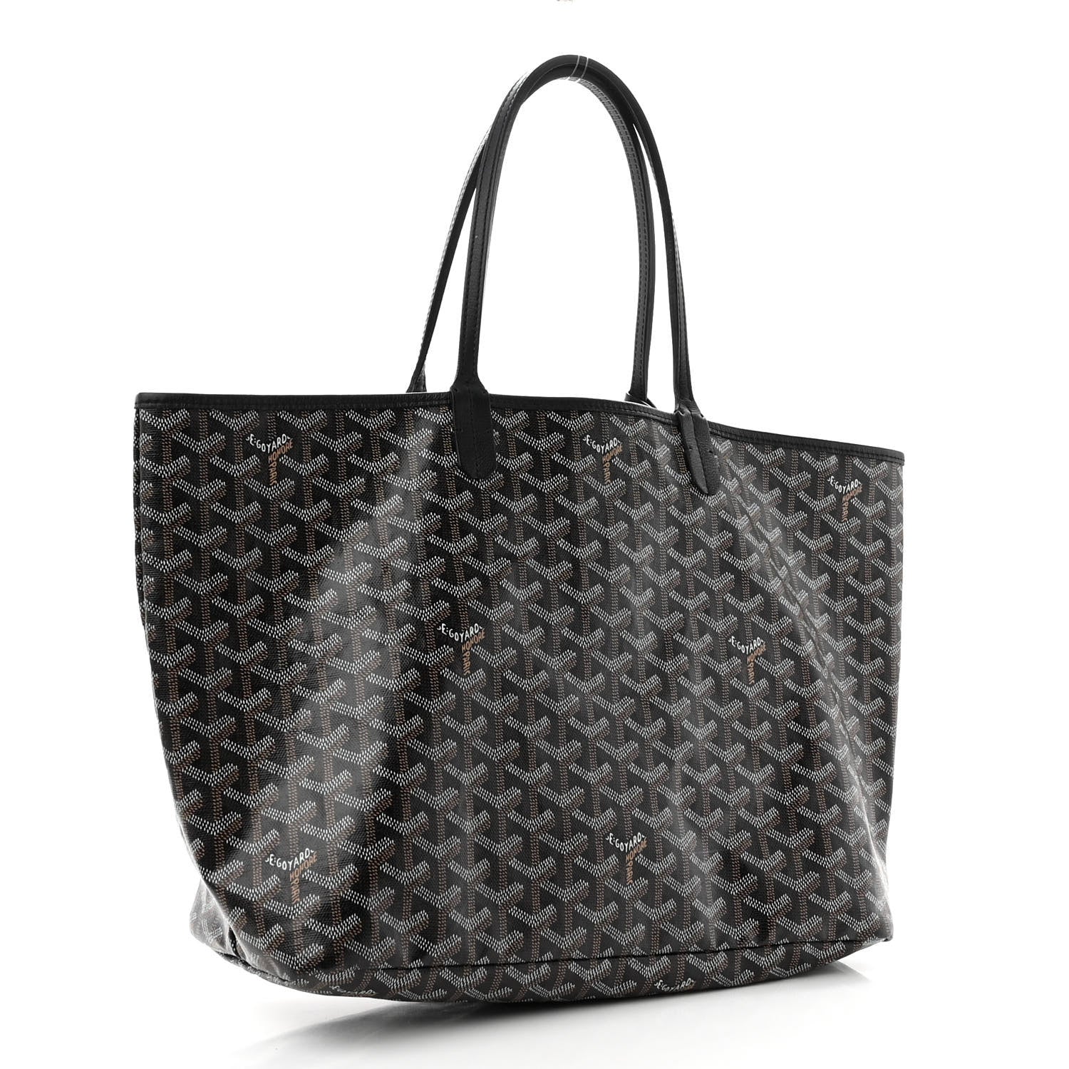 Goyard Goyardine Saint Louis PM Black 4 of 13