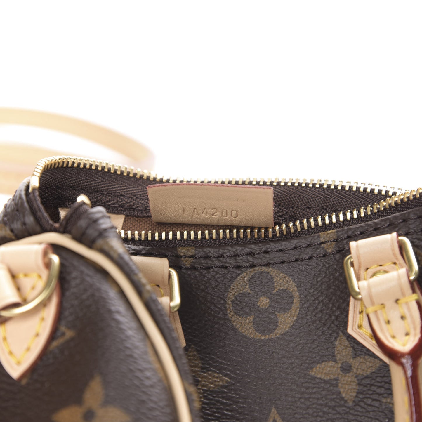 Monogram Nano Speedy