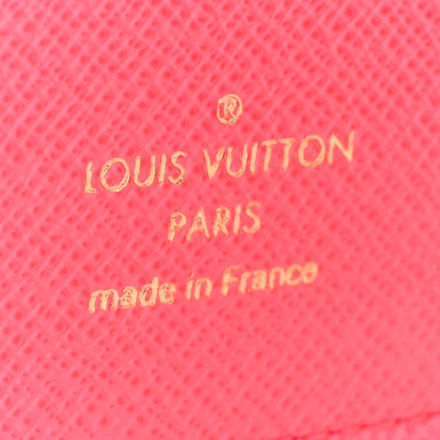 Louis Vuitton Monogram 2023 Christmas Animation Tropical Seas Passport Cover Dragon Fruit Pink 6 of 8