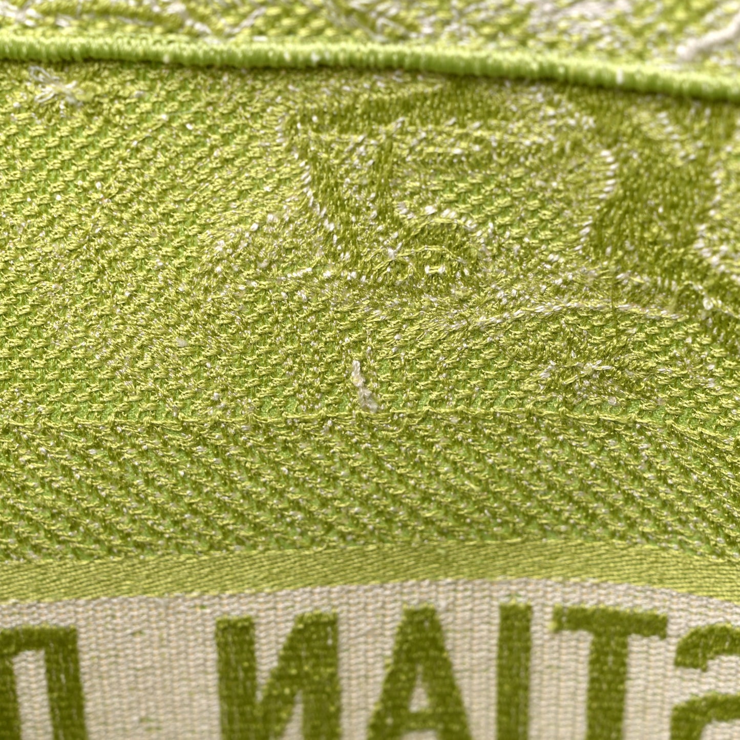 Canvas Embroidered Medium Dioriviera Toile De Jouy Book Tote D-Lite Green