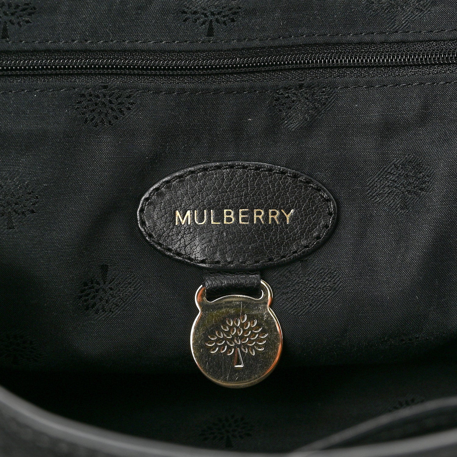 Mulberry Polished Buffalo Medium Alexa Black 6 of 14