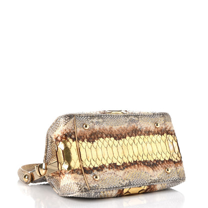 Christian Dior Python Babe Frame Bag 5 of 14