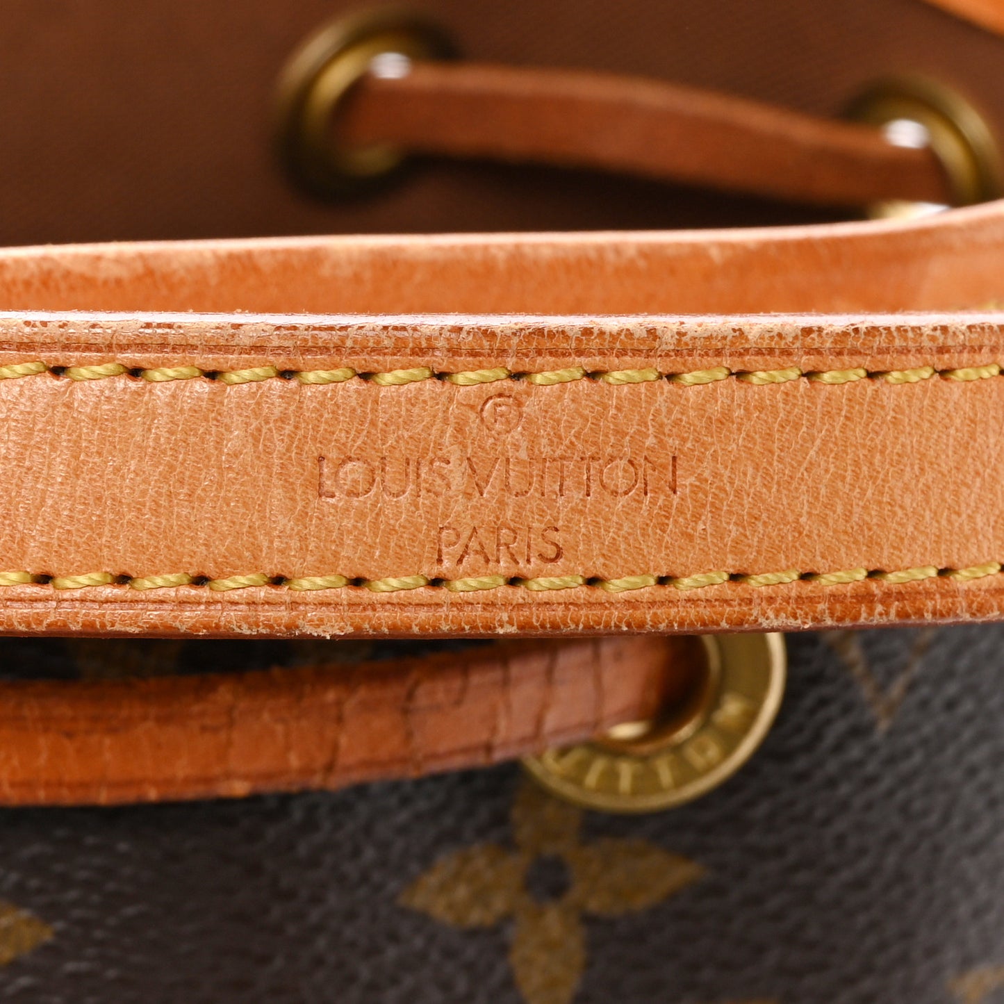 Monogram Mini Noe