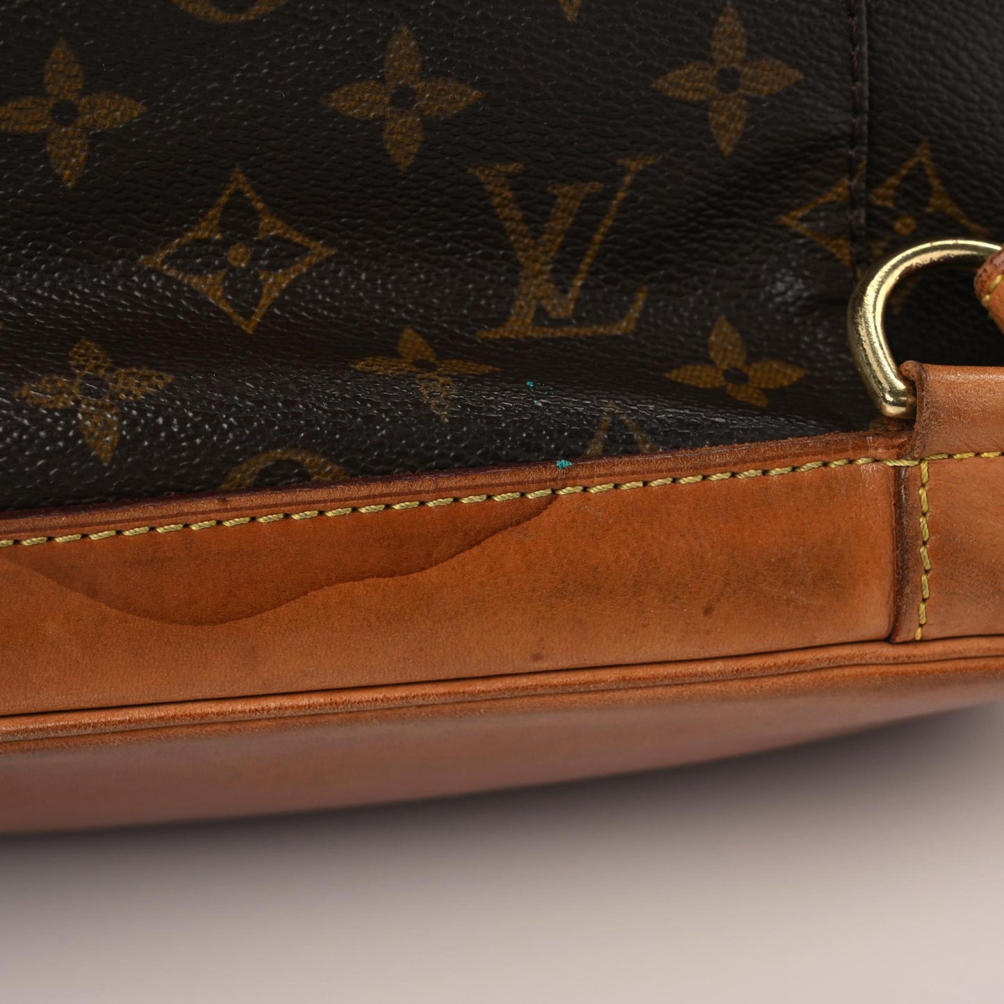 Monogram Montsouris GM Backpack
