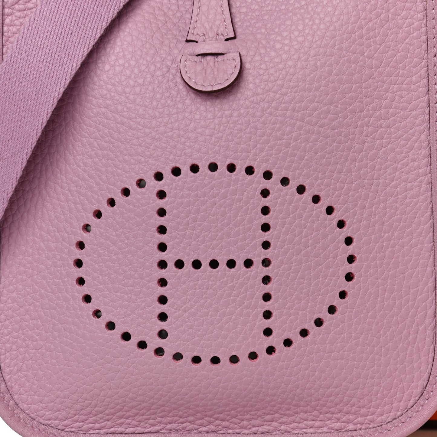 Taurillon Clemence Evelyne TPM Mauve Sylvestre