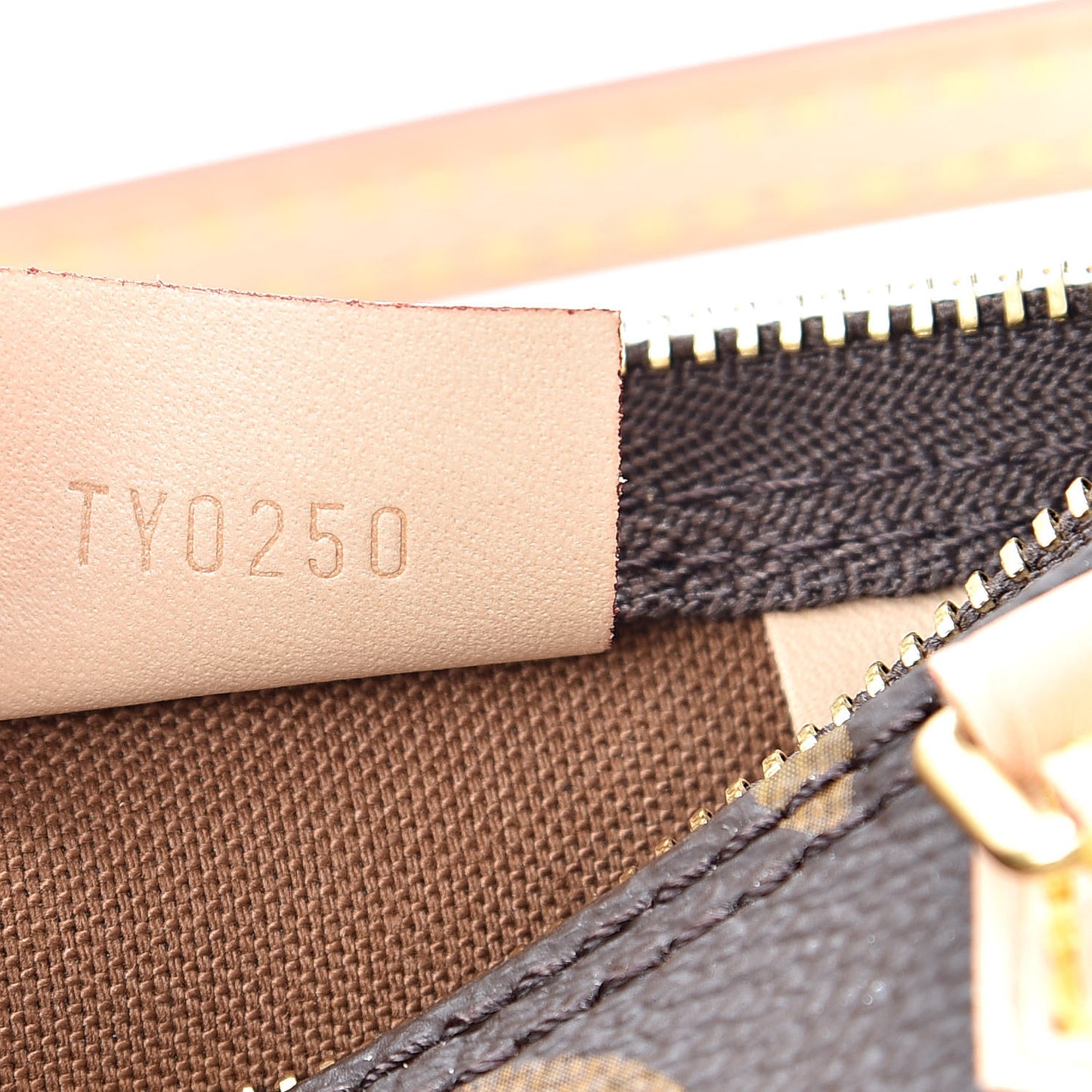 Monogram Nano Speedy