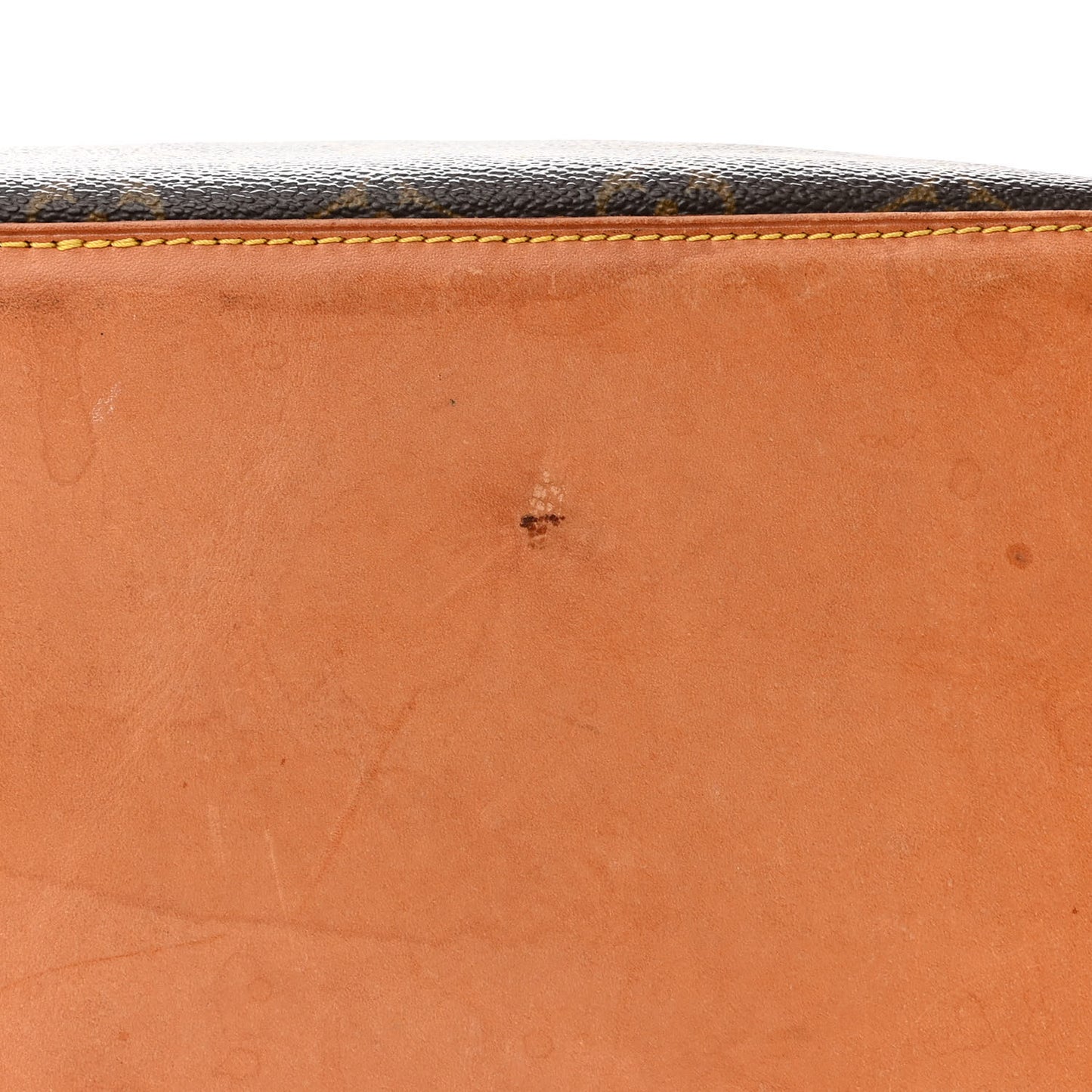 Monogram Cabas Mezzo