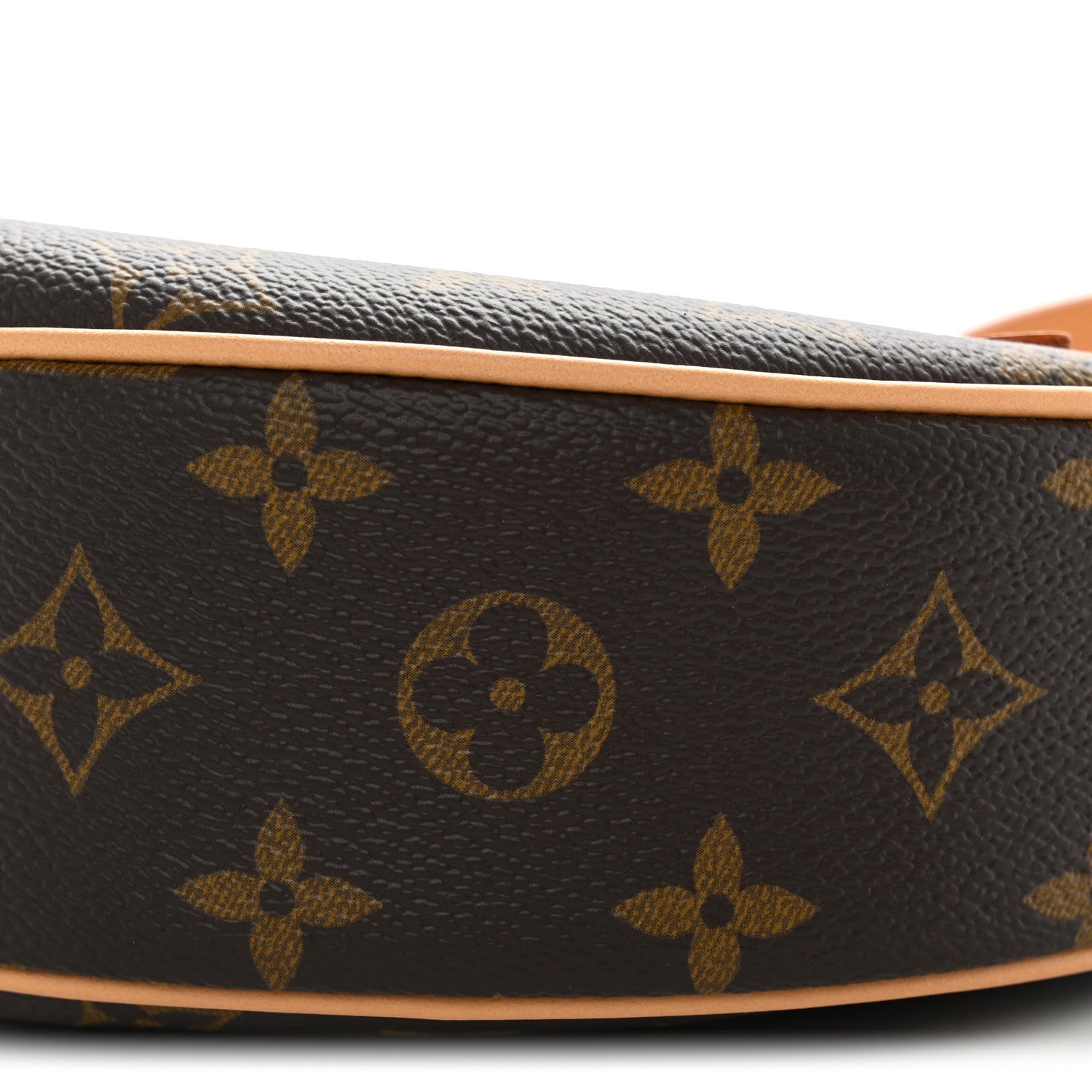 Louis Vuitton Monogram Loop 9 of 10