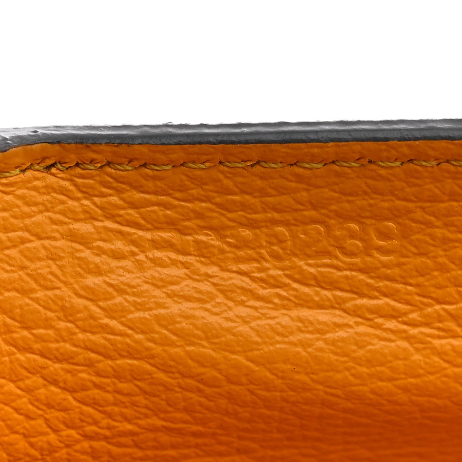 Goyard Goyardine Mini Saigon Grey 7 of 11