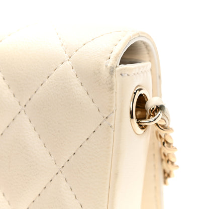 Chanel Lambskin Quilted Side Packs White Black 15 of 17