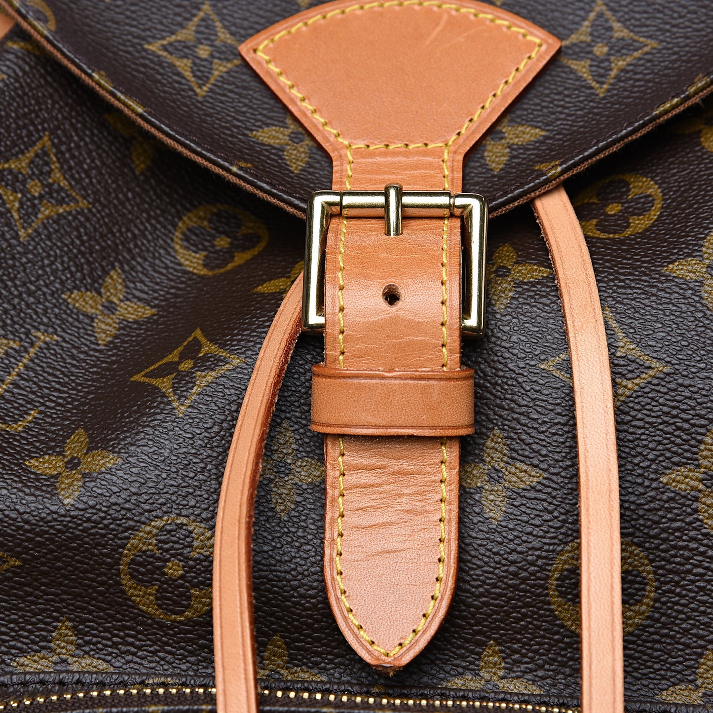 Monogram Montsouris GM Backpack
