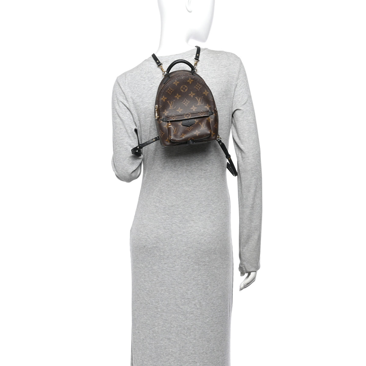 Monogram Palm Springs Backpack Mini