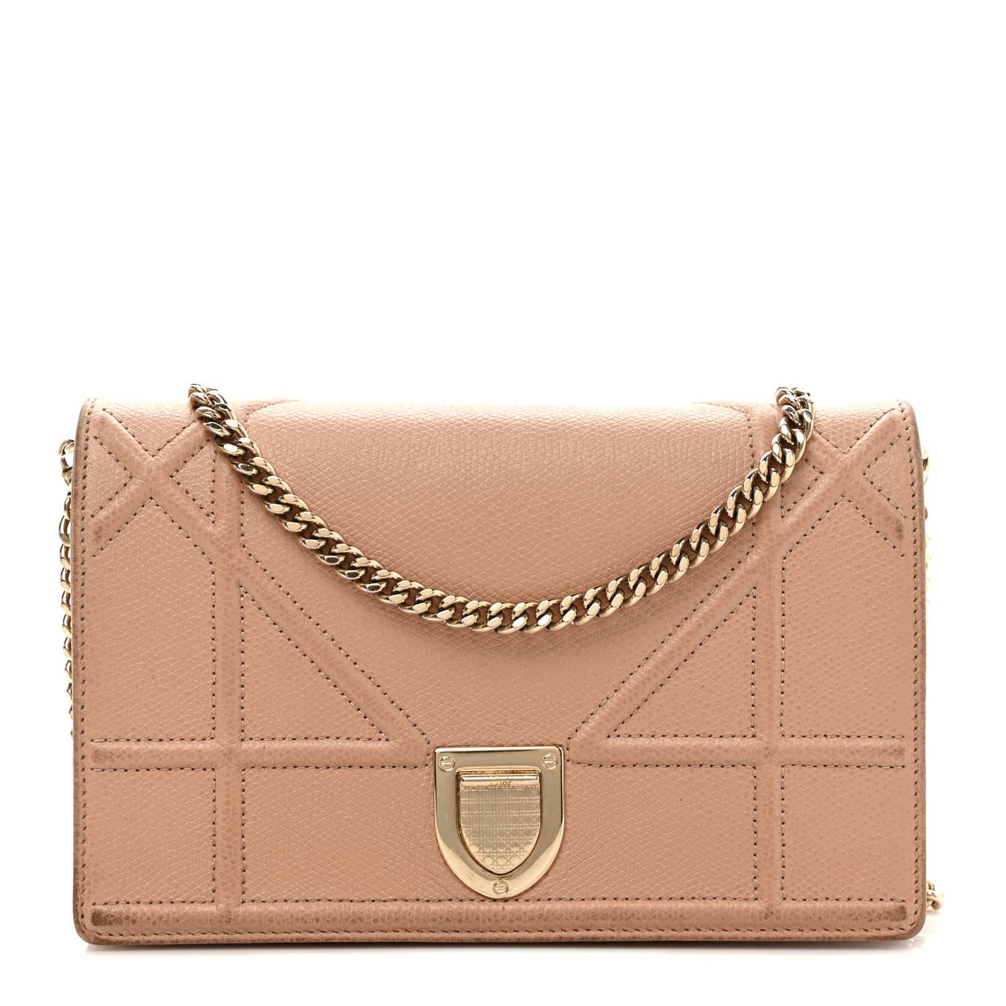 Grained Calfskin Diorama Wallet on Chain Pouch Fard