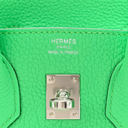 Hermes Togo Birkin 25 Vert Comics 6 of 11