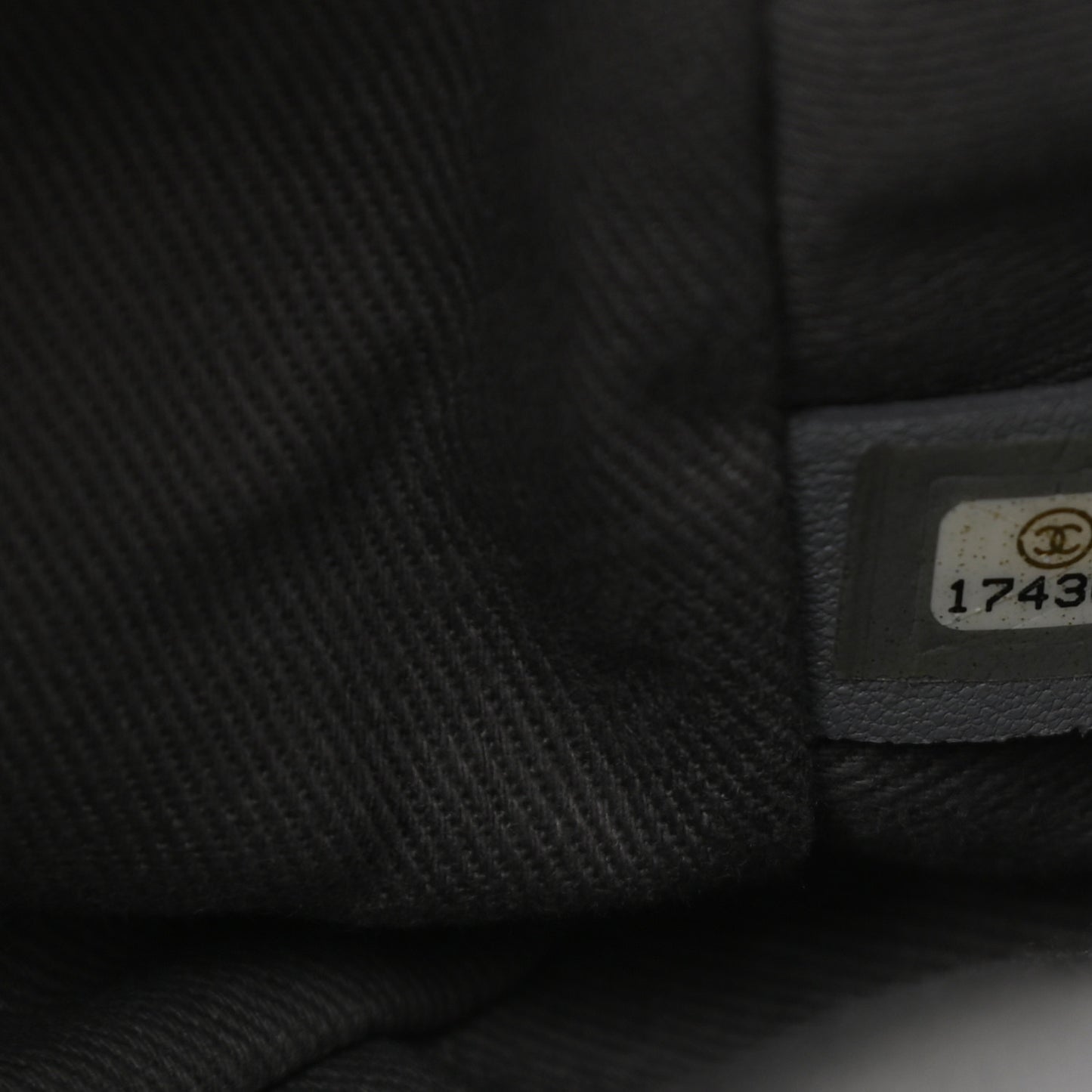 Iridescent Calfskin Large Coco Daily Flap Black