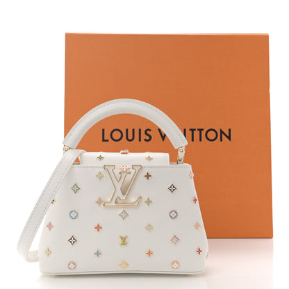 Louis Vuitton LV X TM Cowhide Mini Capucines Multicolor 12 of 12