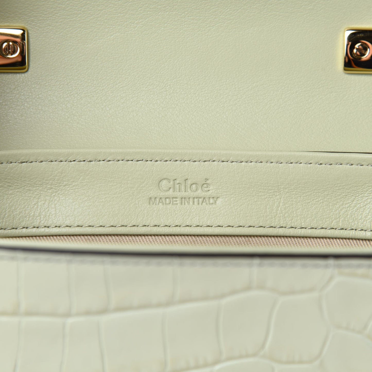 Calfskin Crocodile Embossed Mini C Double Carry Light Eucalyptus